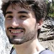 Laureato in ingegneria biomedica offre ripetizioni di matematica e fisica